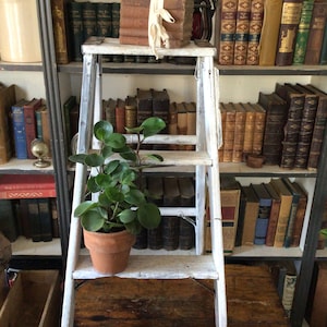 Vintage Wooden Step Ladder
