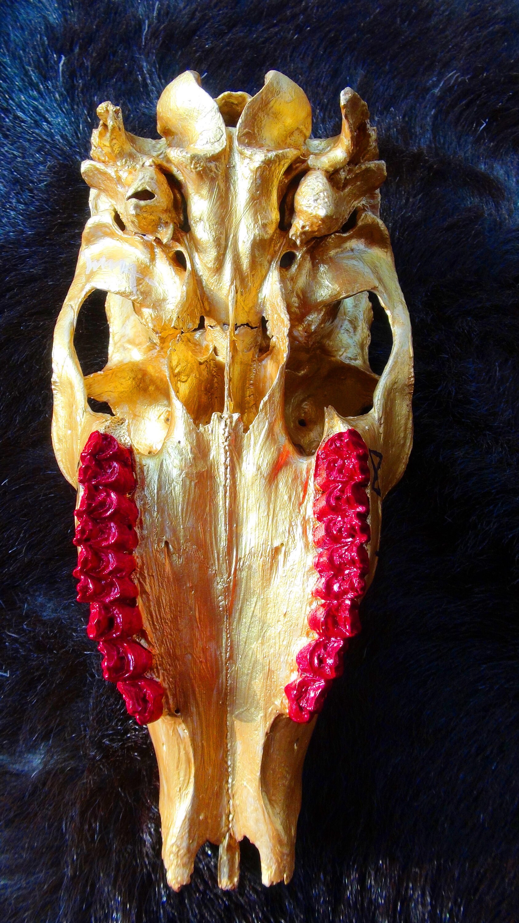 Hand Painted Deer Skull Deer Skull Painted White Tail Deer | Etsy