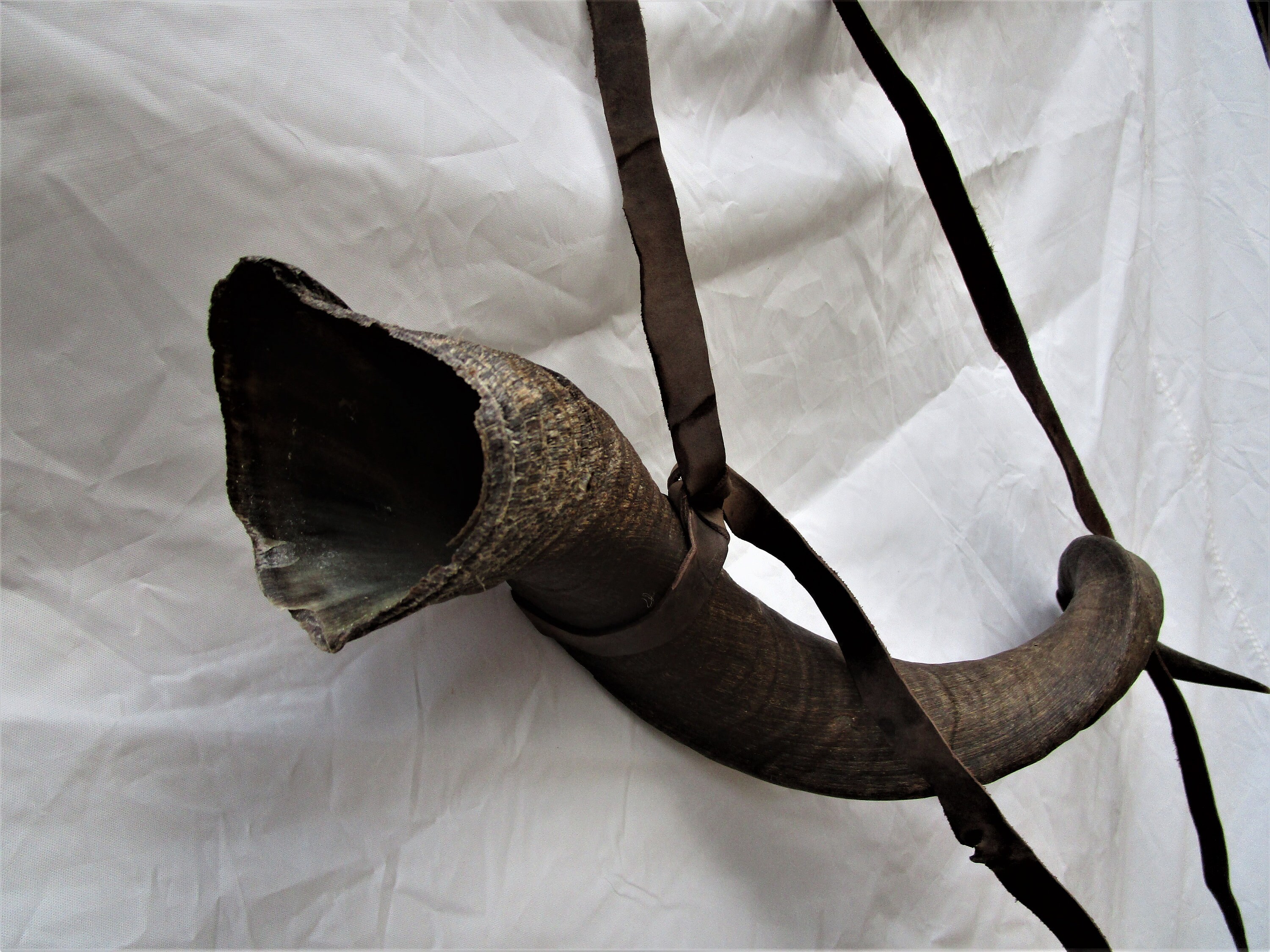 Polished signal blowing horn Viking blow horn blowing horn Etsy España