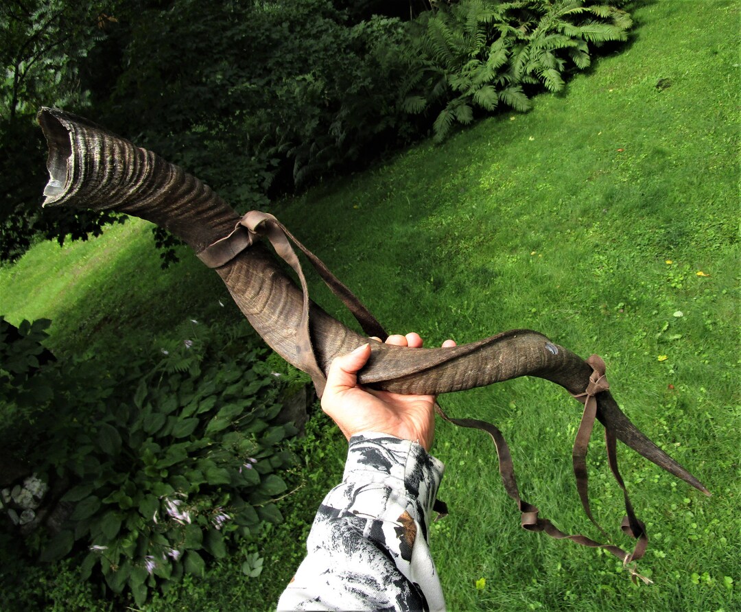 Polished Signal Blowing Horn, Viking Blow Horn, Blowing Horn, Kudu Blow