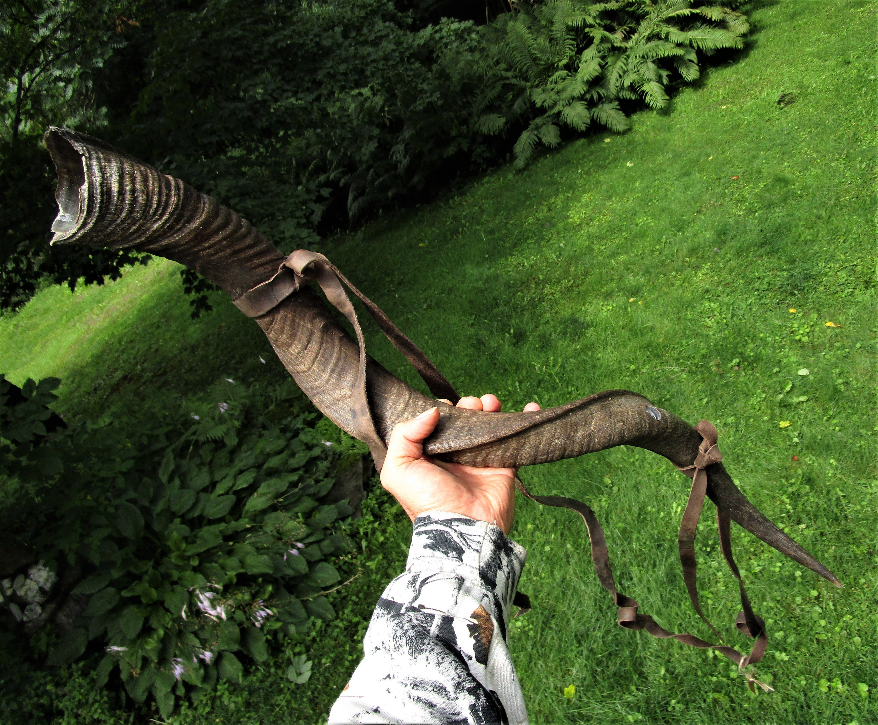 Polished Signal Blowing Horn, Viking Blow Horn, Blowing Horn, Kudu Blow Horn, Kudu Bugle Horn