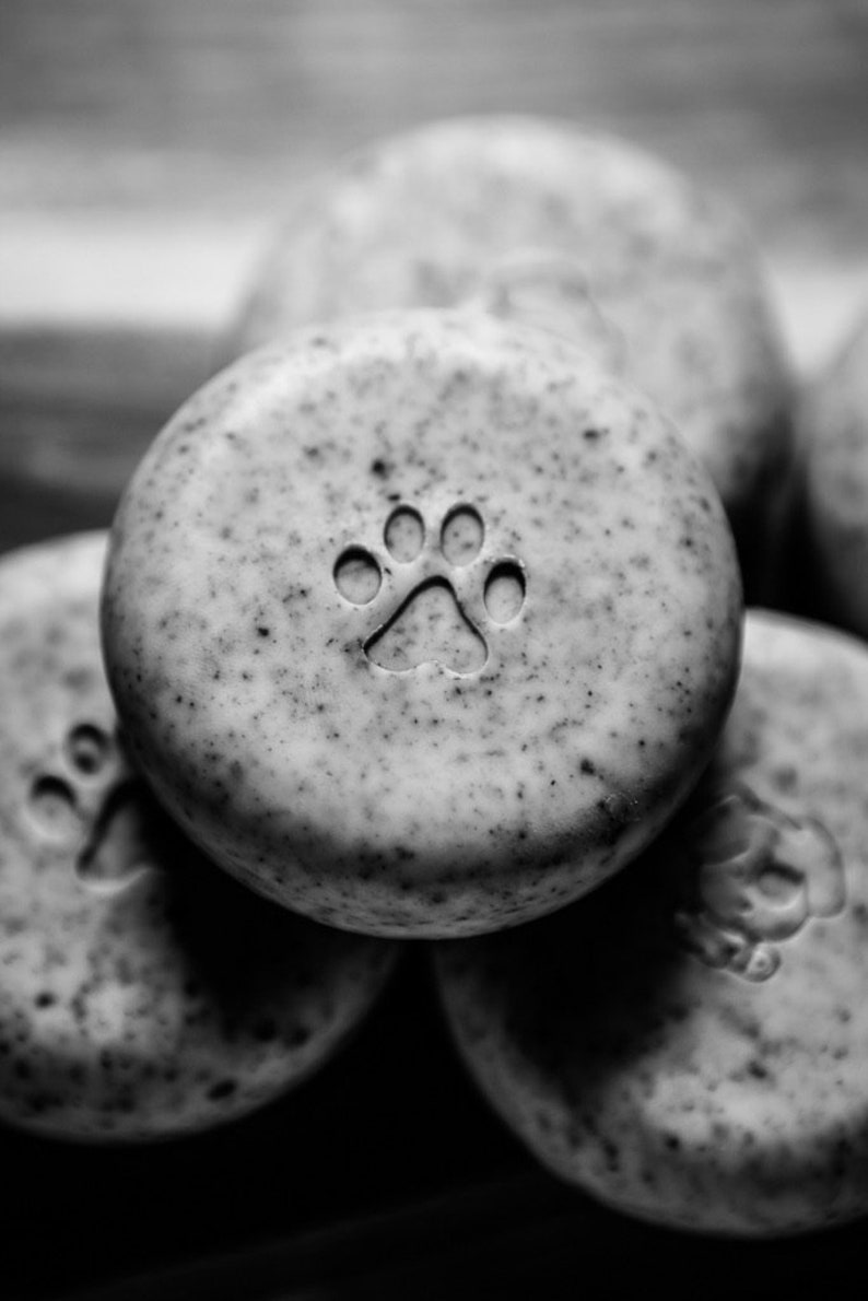 Dog Shampoo. Wild Earth and Mugwort Pet Shampoo Bar. Apple Etsy