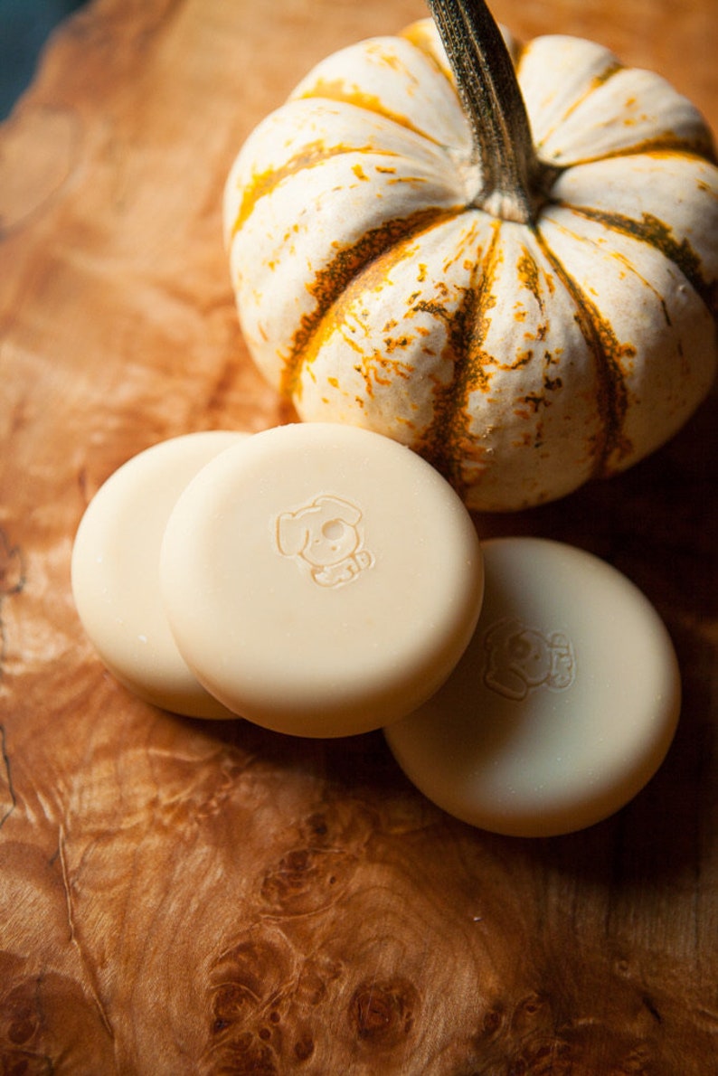 Dog Soap. Oat Milk Puppy Apple Cider Vinegar Soap Pet Shampoo Etsy