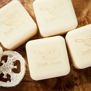 May include: Four square, off-white dish soap bars with the words "Dish Soap" and a graphic of a pan and dish. A natural loofah sponge is also in the image. The items are on a dark wood surface.
