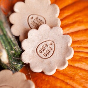 May include: Three brown ceramic flower-shaped ornaments with a raised heart and the word "Opa" in a circle on each. The ornaments are on top of an orange pumpkin.