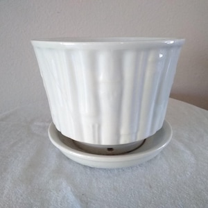 May include: A white ceramic plant pot with a vertical ribbed texture resembling bamboo stalks. The pot features a wide, flared rim and sits securely inside a matching circular saucer base, which includes a small drainage hole at the bottom.