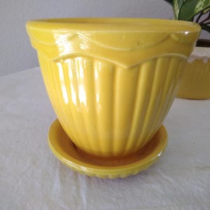 May include: A bright yellow ceramic planter with a matching saucer. The planter has a fluted design and a decorative scalloped rim. A second yellow planter is visible in the background. The planters are suitable for indoor or outdoor use.