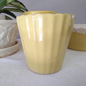 May include: A pale yellow ceramic planter with a fluted design. The planter has a scalloped rim and a glossy finish. Other planters are visible in the background, including a white one with a floral pattern and a yellow one with a lace trim.