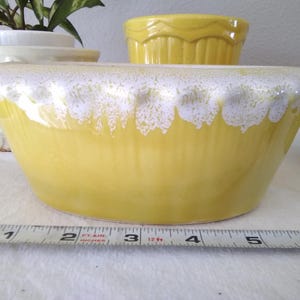 May include: A yellow ceramic planter with a white speckled rim. The planter is approximately 6 inches long. Other yellow and white planters are in the background. A tape measure is in the foreground.