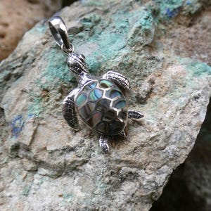 Jolie tortue tortue arc-en-ciel ormeau pendentif coquillage/breloque (idéal pour superposer) argent sterling 925 fabriqué à la main livraison gratuite cadeau sac AK97