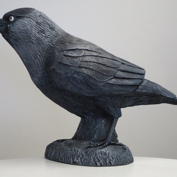 Jackdaw Bird Statue Hand Cast Resin Figurine