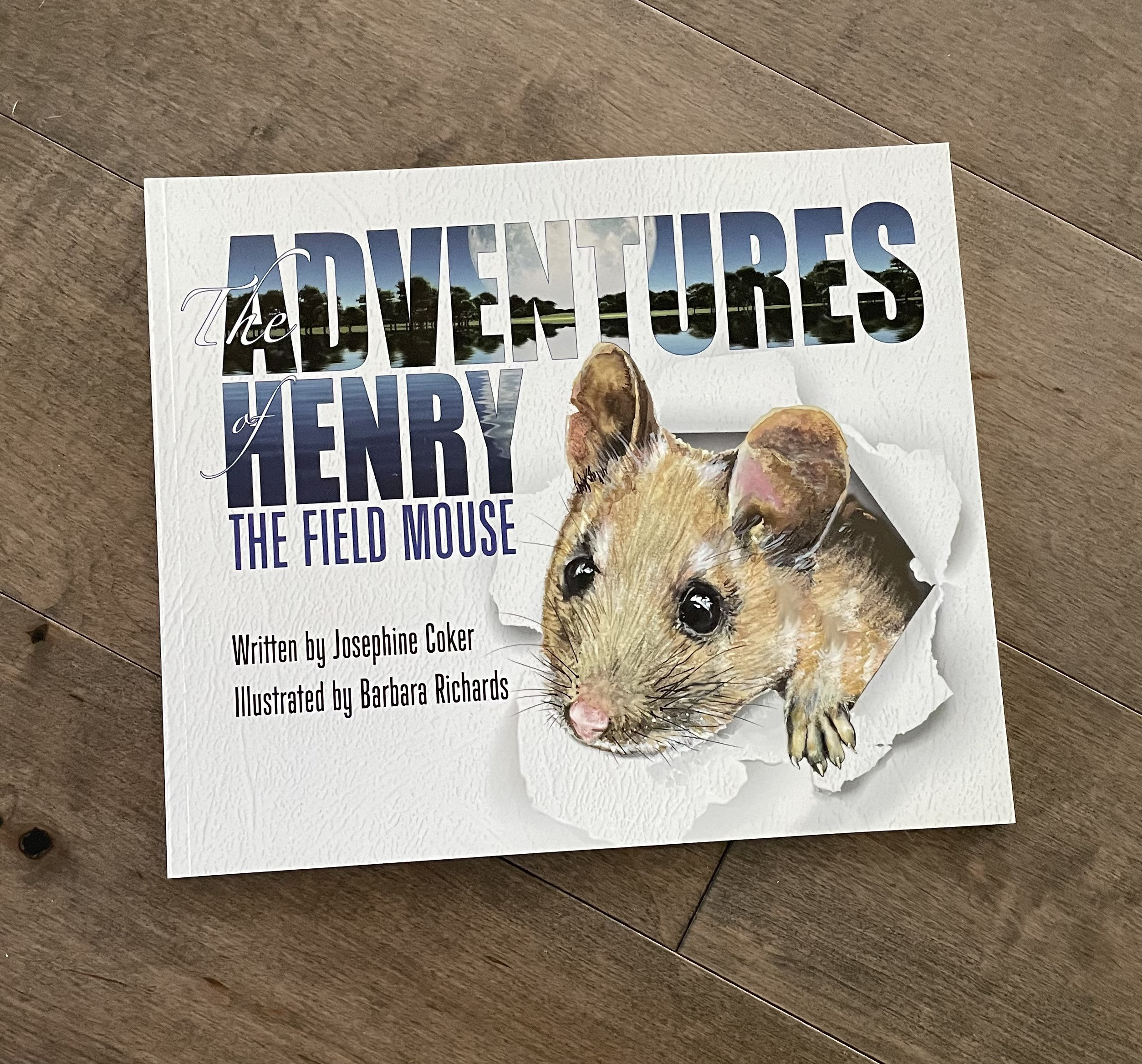 Illustrated Children's Book Mouse Adventures Making Etsy UK
