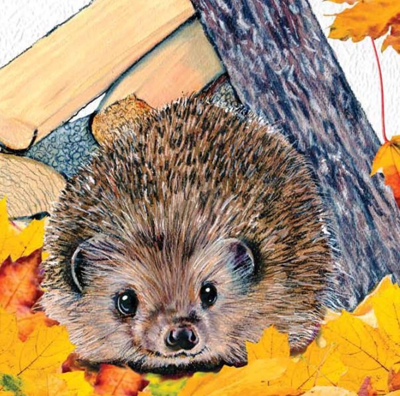 Illustrated Childrens Book Mouse Adventures Making Friends - Etsy