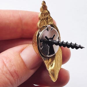 May include: Gold seashell wall hook with a screw and a metal backing. The hook is designed to look like a seashell.