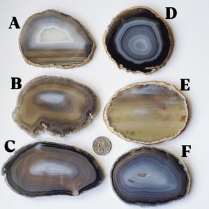 May include: Six polished agate slices in various shapes and colors, including brown, white, gray, and black. Each slice has unique banding patterns and natural edges. A quarter is included for size reference. These decorative stones are ideal for home decor or craft projects.