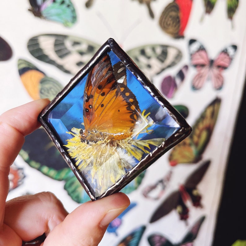 SuspendIt Butterfly Wall Hook - Thumbnail 3