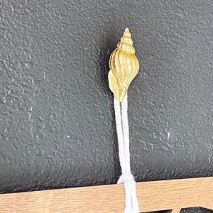 Peut inclure: Une ornement en forme de coquillage doré avec un cordon blanc attaché. Le coquillage est suspendu à une surface en bois.