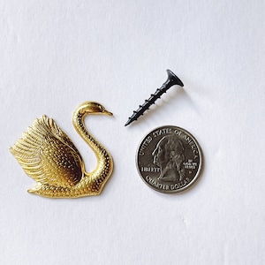 Swan Decor / Vintage Vibe Decor / Macrame Accessory / Brass Embellishment / Etymology / Scientific Decor / Screw Covers