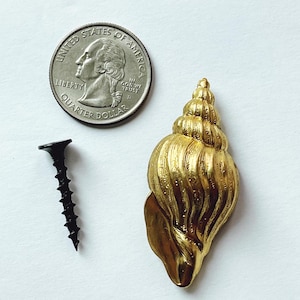 May include: A gold-colored seashell door knob with a screw for installation. The seashell is about the size of a US quarter.