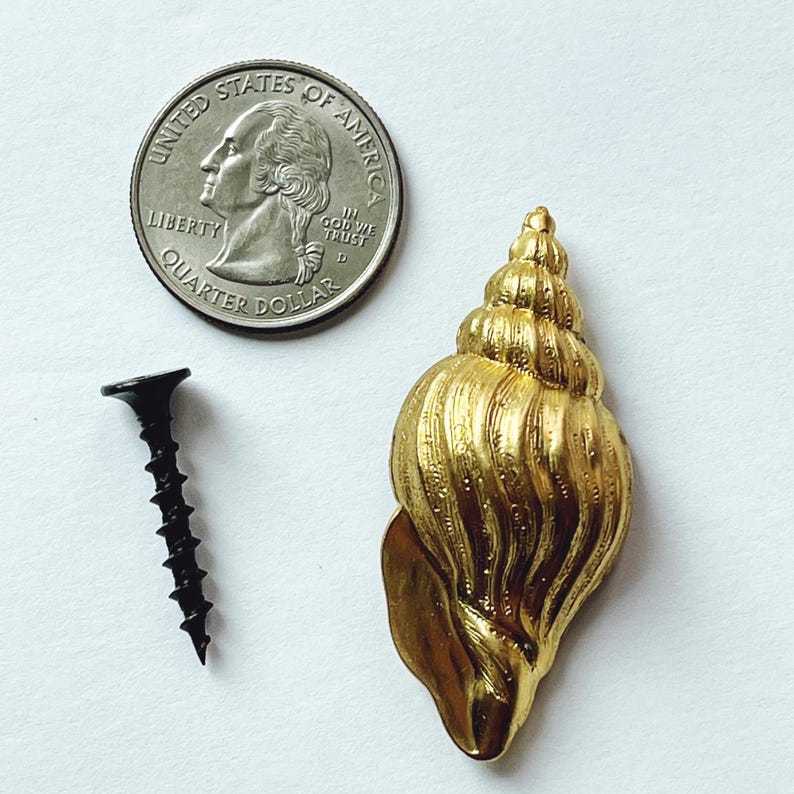 May include: A gold-colored seashell door knob with a screw for installation. The seashell is about the size of a US quarter.
