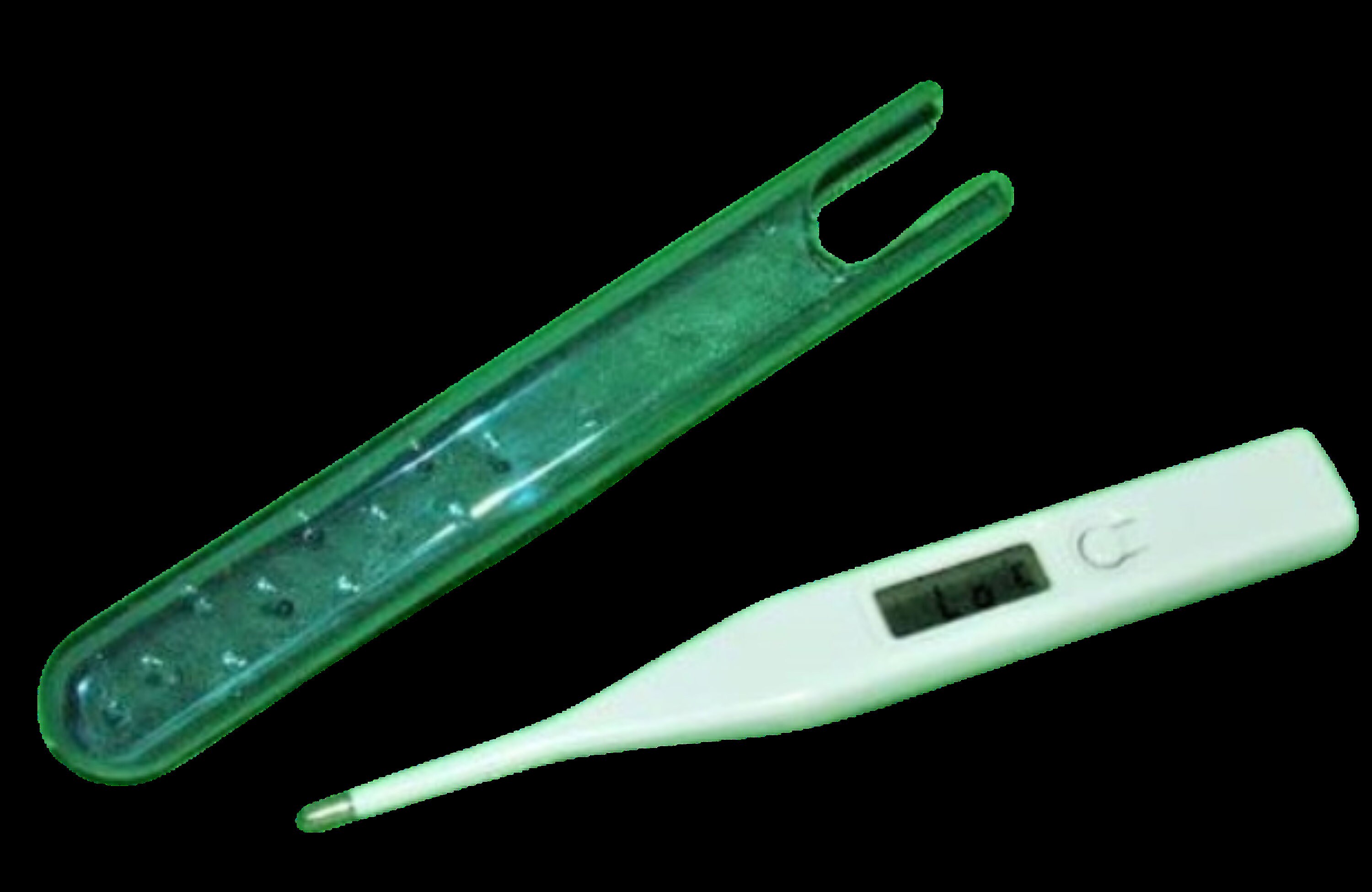 Neues Equine Digital Thermometer Etsy