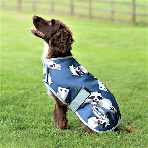 Weatherbeeta top dog raincoat
