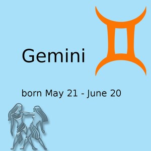 Gemini Report
