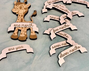 newborn monthly milestone, monthly milestone pictures, Baby months milestone, New Baby Gift, Baby's First Year, Milestone Giraffe