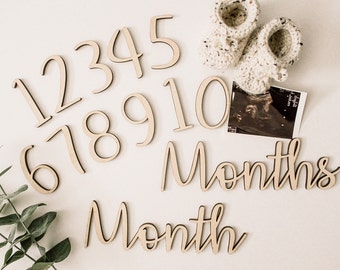 Best Gift for new Mom, Baby milestone, Personalized Gift, Monthly Photo Props, monthly milestone, New Baby Gift, children's photo props