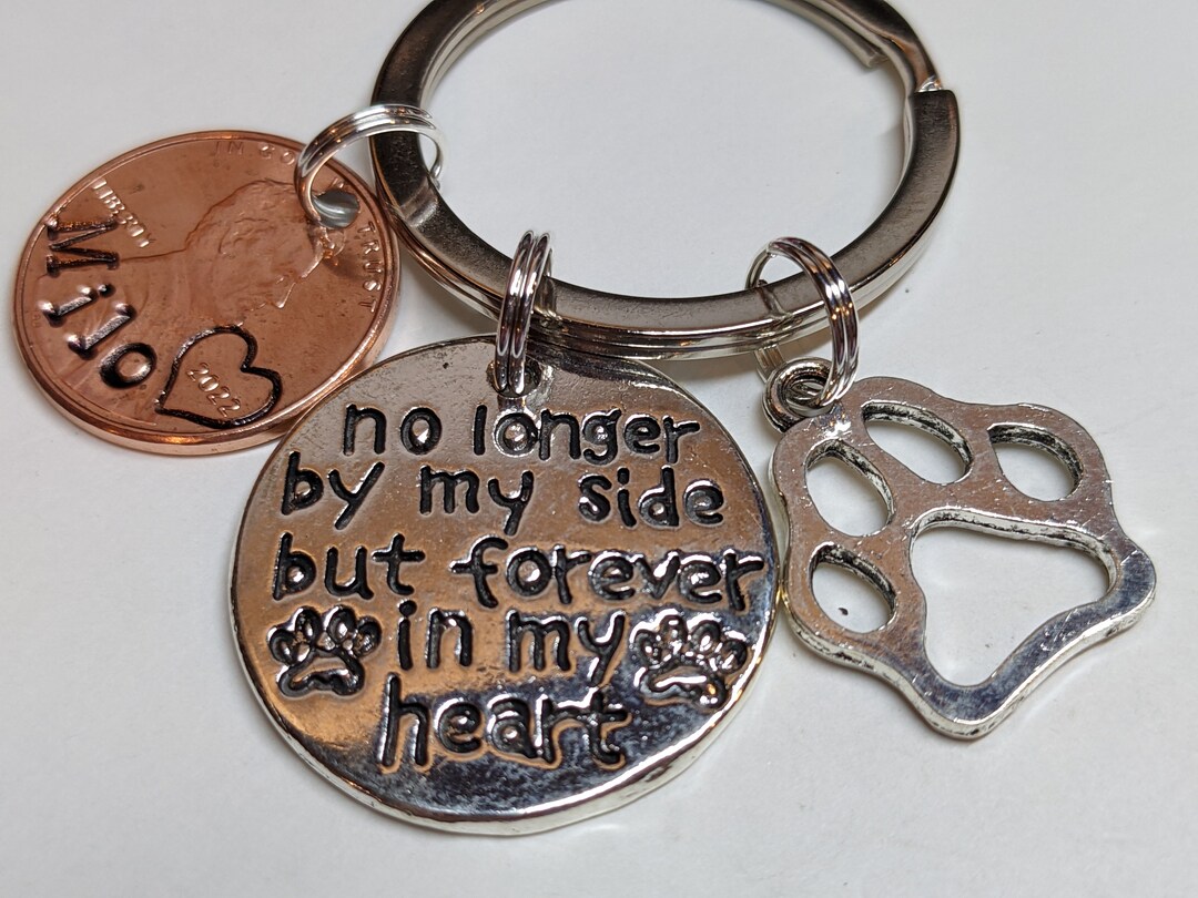 No Longer By My Side But Forever In My Heart Pet Memorial Personalized Acrylic Plaque 1 - Foto 2