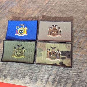 May include: Four embroidered patches featuring the New York State seal. The patches are on different colored backgrounds: blue, tan, green, and camouflage.