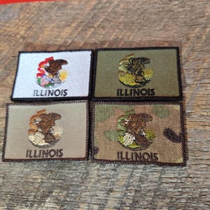Illinois State Patch