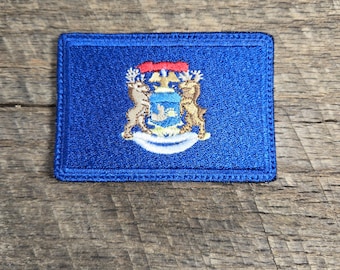 Vlag van de staat Michigan