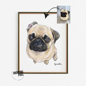 May include: A framed watercolor portrait of a pug dog. The artwork features the dog in a seated position, with a detailed rendering of its facial features and fur. The dog's name, "Sprinkles," is written in cursive. A smaller photo of the dog is in the upper right corner.