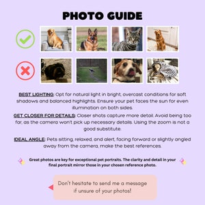 May include: A photo guide with examples of good and bad pet portrait photos. Text includes tips on lighting, detail, and angle for the best results. The guide encourages clear, detailed photos for exceptional pet portraits.