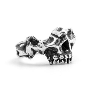 Maxilla Skull Ring