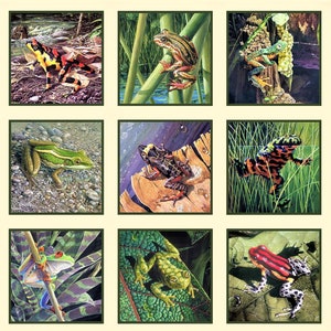 AMAZING FROGS Panel Fabric - 15 Different Frog Blocks - Squares - Quilt Shop Quality 100% Cotton - Approx. 2/3 yard - 23" x 44 "