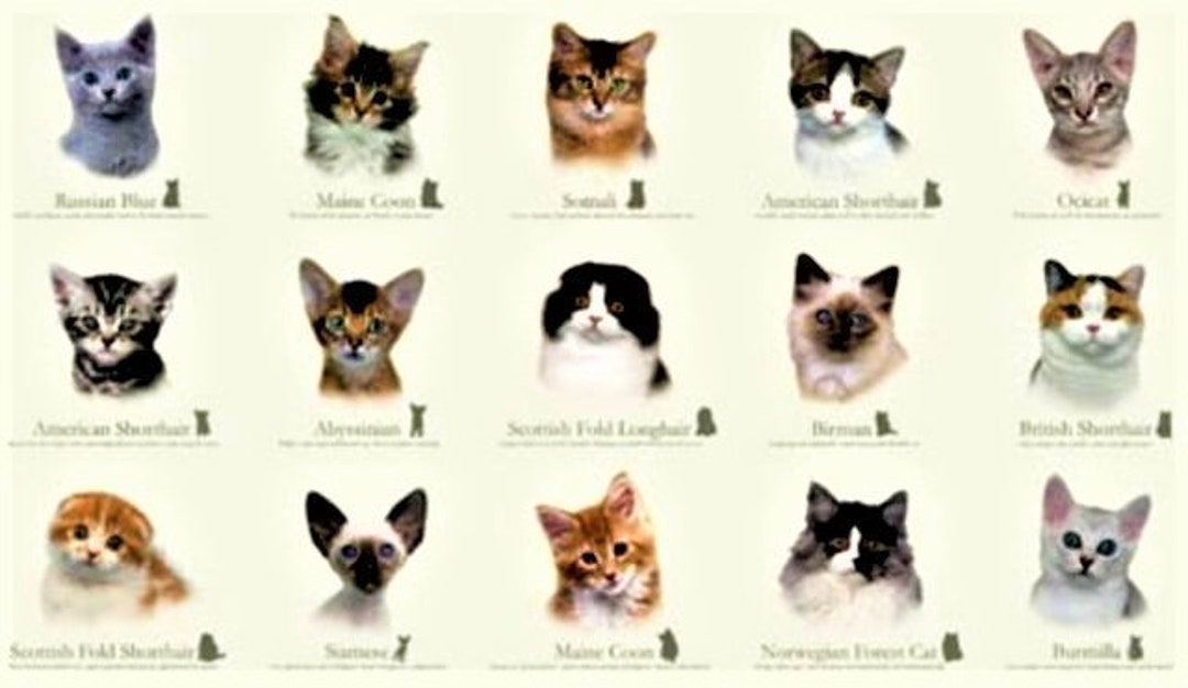 猫の品種ファブリックパネル：15種類の猫の種類、キルトショップ