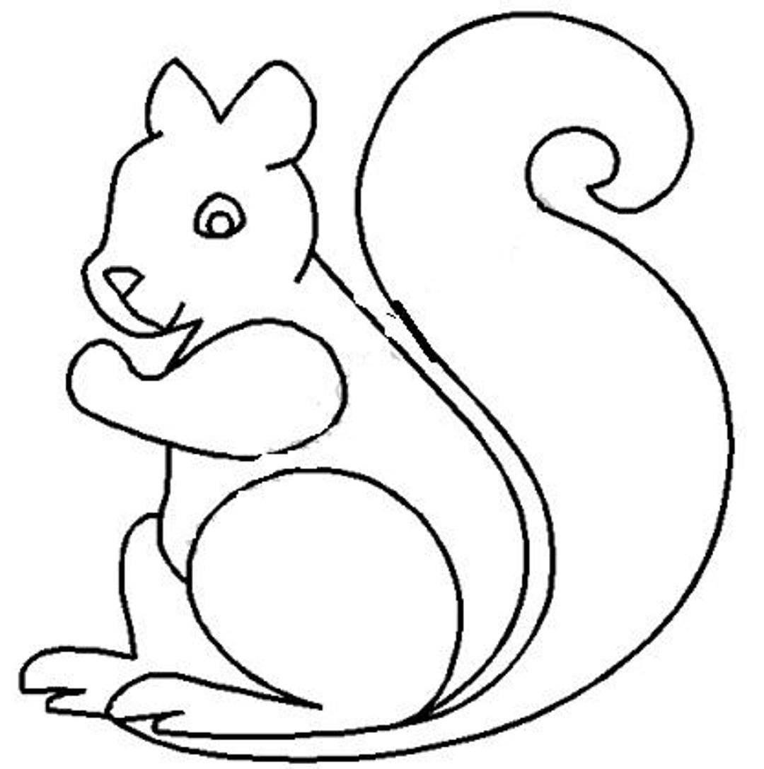 Super SQUIRREL Stencil - 6 Inch - Quilting Scrapbook - Crafts - Drawing ...