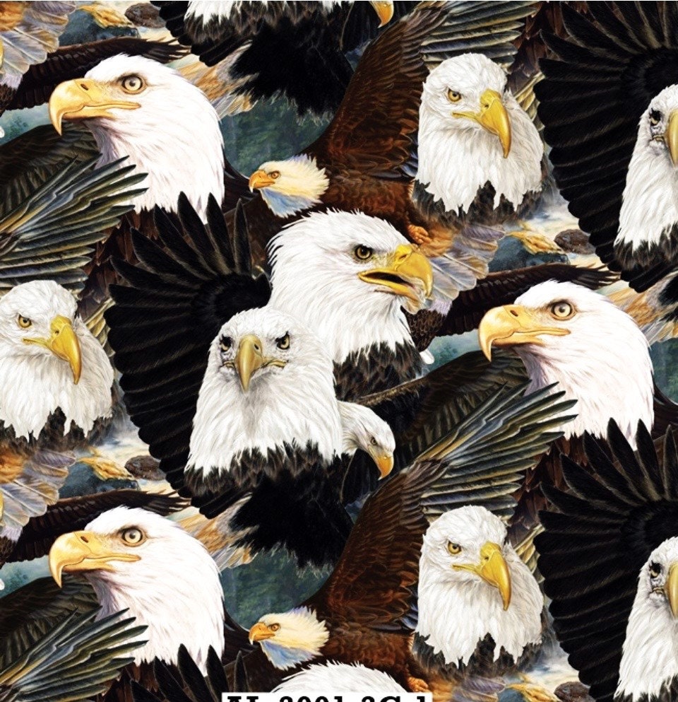 A to Z Kids Stuff | American Bald Eagle, image size:960x993