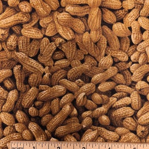 Tessuto CIRCUS PEANUTS in the SHELL - Cibo - Snack - Dolcetto - Farmer John Organic Kitchen Novelty - 100% cotone - Qualità Quilt Shop