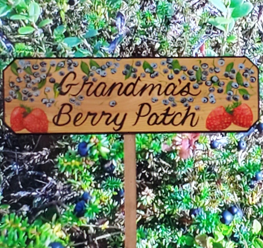 Fruit Works Blue Raspberry Sign Blueberry Strawberry Sign Blueberry Sign Strawberry Sign Blueberries ...