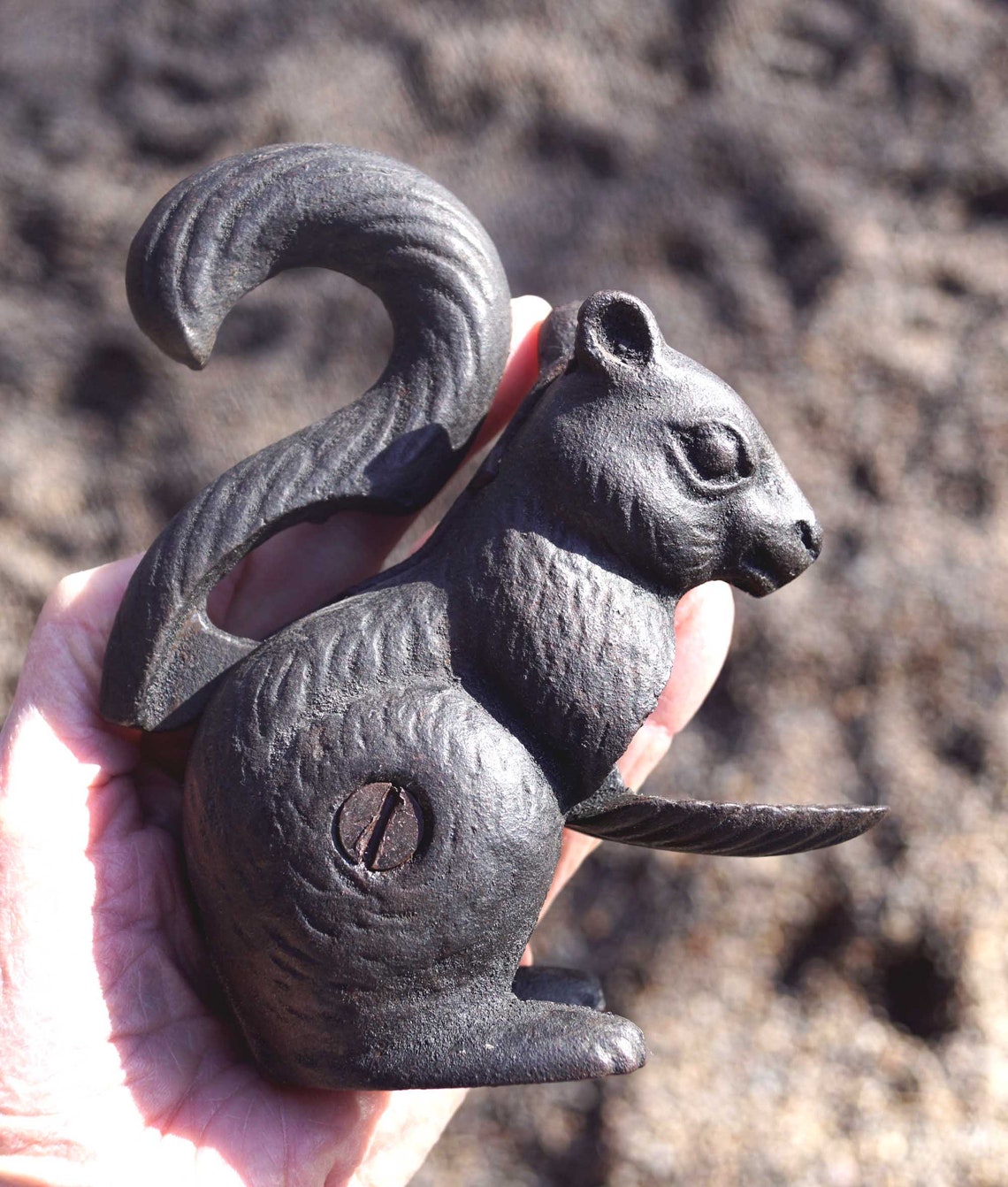 VINTAGE SQUIRREL NUTCRACKER of Cast Iron from the Mid Etsy