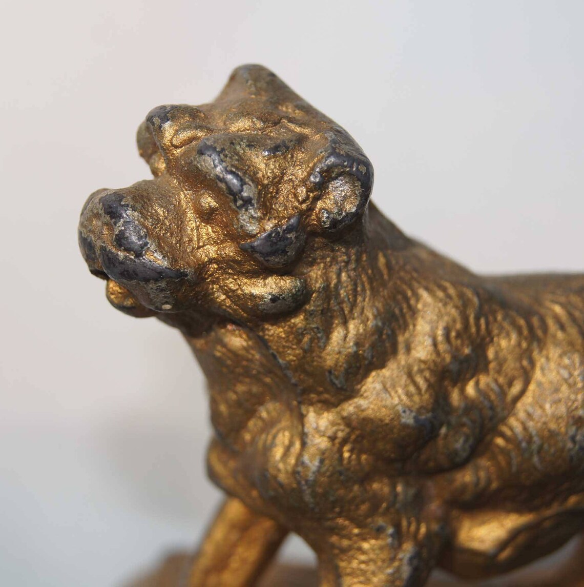 Antique CAST METAL DOG Statue Bulldog or Terrier Canine With Etsy