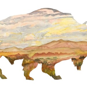 Buffalo Scape
