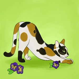 Custom Illustrated Pet Portraits