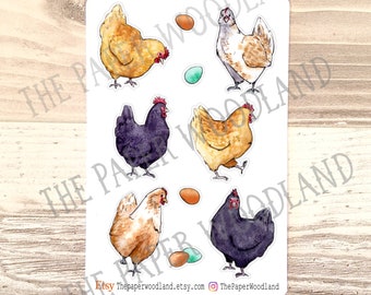 Chicken Planner Stickers, Cute Farm Stickers, Hand drawn Watercolor Hen Stickers, BUJO 4H Stickers