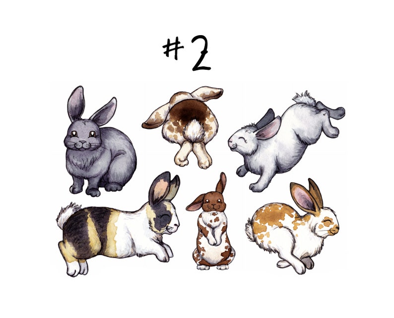 May include: A watercolor illustration of six rabbits in different poses. The rabbits are all different colors and have unique markings. The illustration is titled "#2".