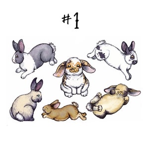 May include: A collection of six watercolor illustrations of rabbits in various poses. The rabbits are all different colors and patterns, including black and white, brown and white, and gray and white. The illustrations are numbered #1.