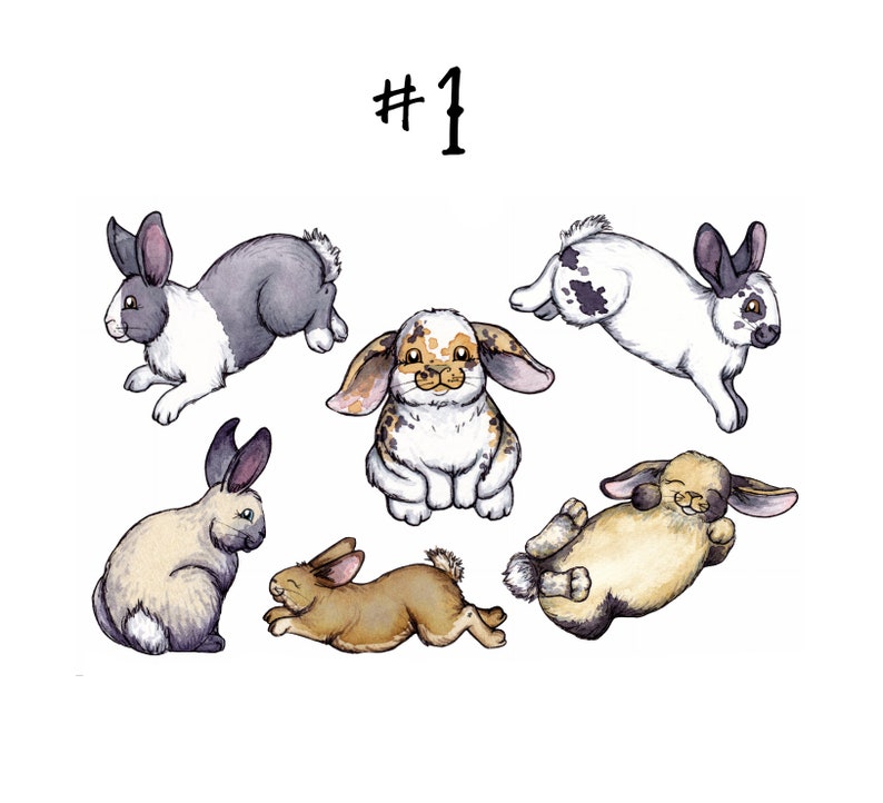 May include: A collection of six watercolor illustrations of rabbits in various poses. The rabbits are all different colors and patterns, including black and white, brown and white, and gray and white. The illustrations are numbered #1.